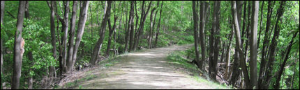 Rounded berm of the aqueduct trail.